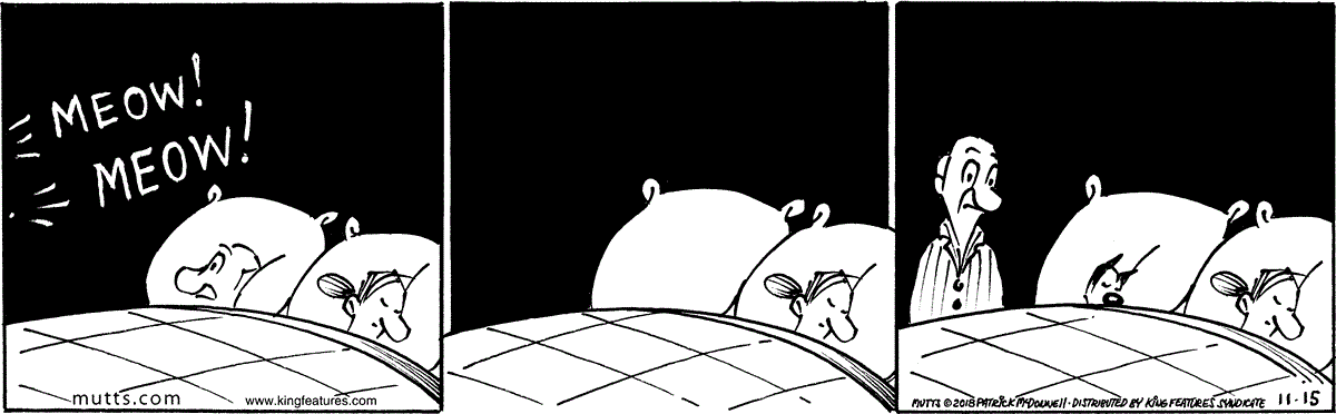November 15 2018, Daily Comic Strip