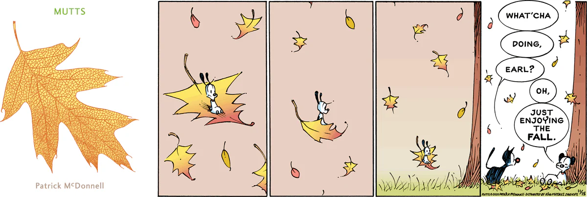 November 15 2020, Sunday Comic Strip