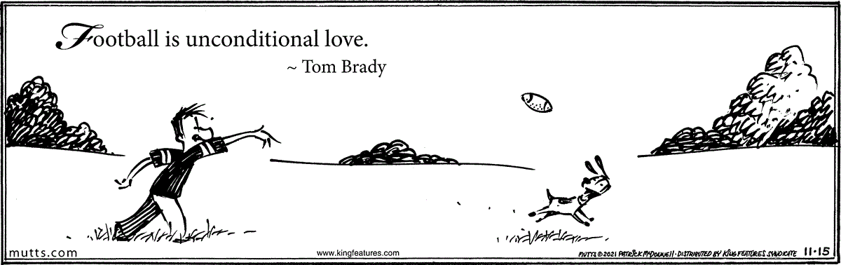 November 15 2021, Daily Comic Strip
