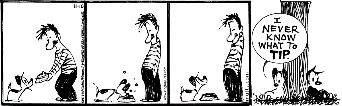 November 16 2024, Daily Comic Strip