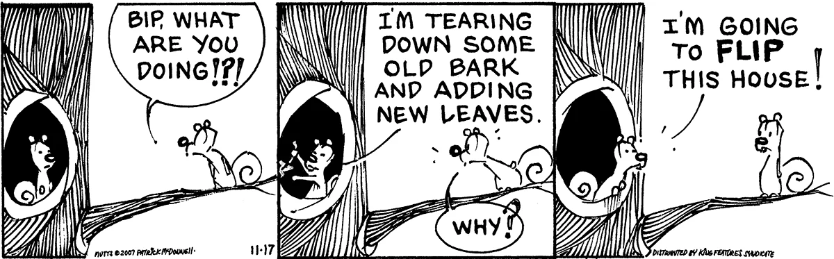 November 17 2007, Daily Comic Strip
