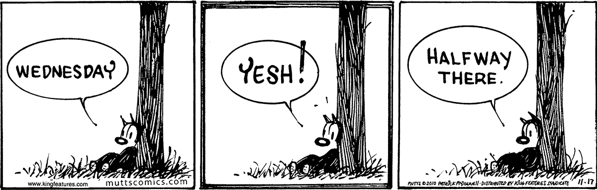 November 17 2010, Daily Comic Strip