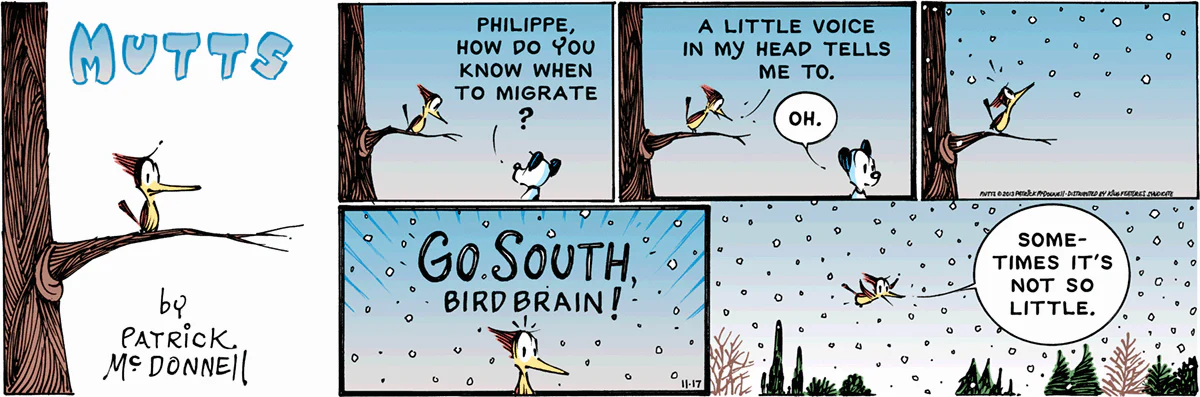 November 17 2013, Sunday Comic Strip