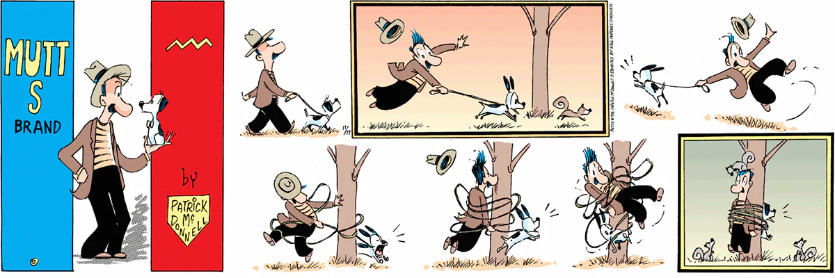 November 17 1996, Sunday Comic Strip