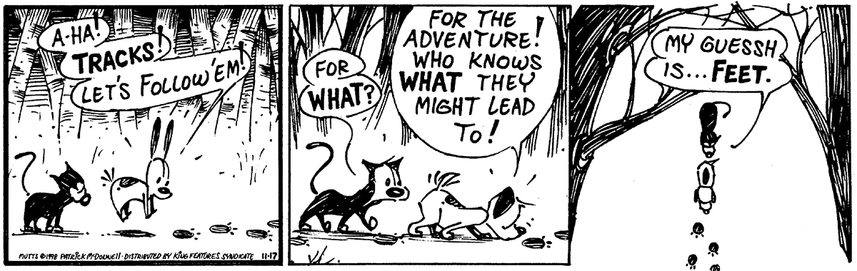 November 17 1998, Daily Comic Strip