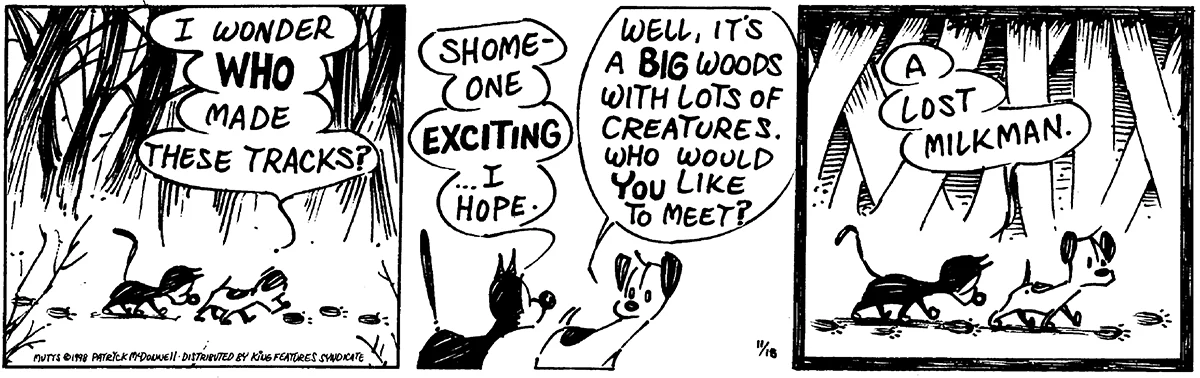 November 18 1998, Daily Comic Strip