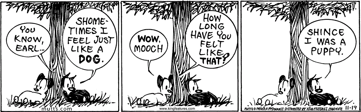 November 19 2024, Daily Comic Strip