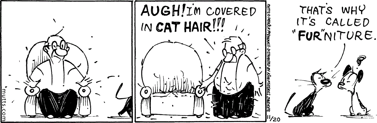 November 20 2025, Daily Comic Strip