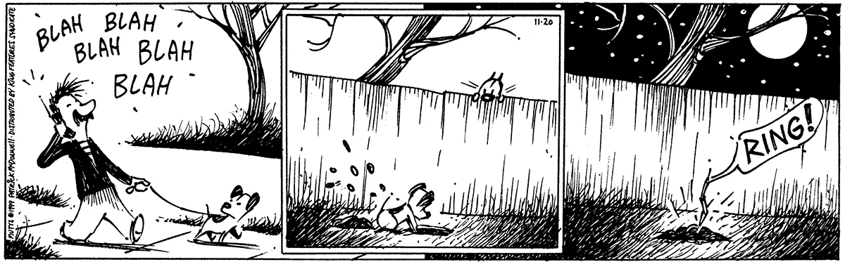 November 20 1999, Daily Comic Strip