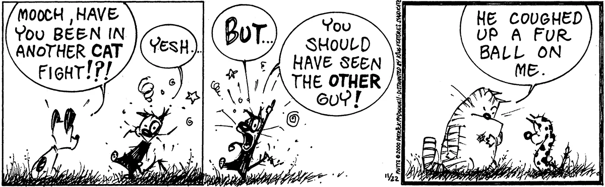 November 22 2000, Daily Comic Strip