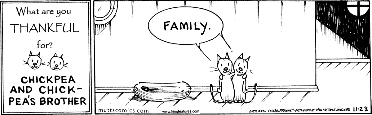 November 23 2011, Daily Comic Strip