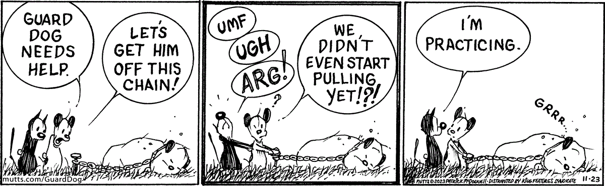 November 23 2023, Daily Comic Strip
