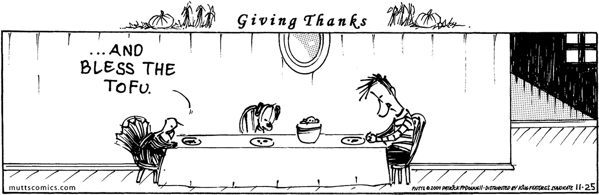 November 25 2004, Daily Comic Strip