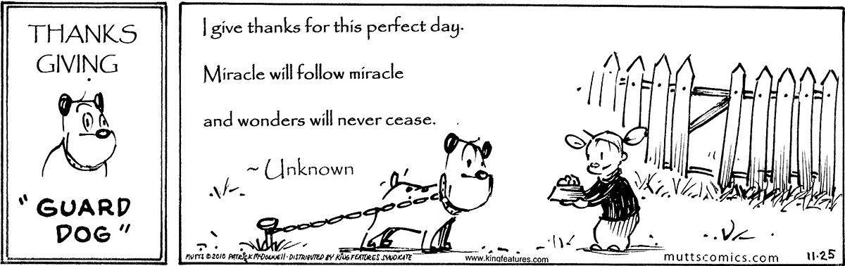 November 25 2010, Daily Comic Strip