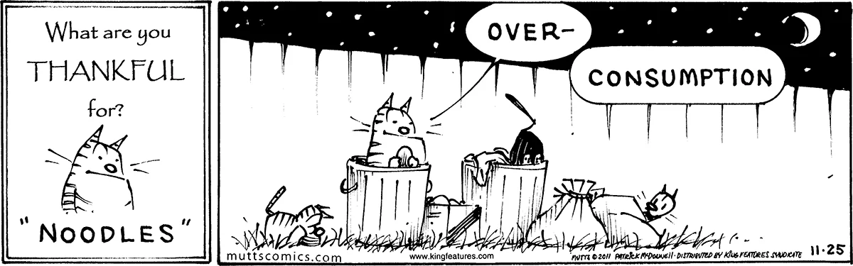 November 25 2011, Daily Comic Strip