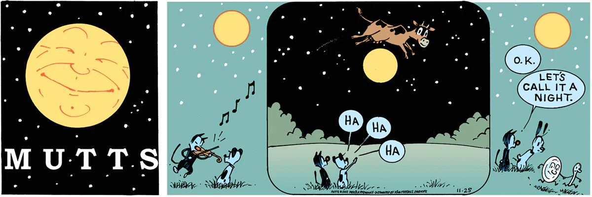November 25 2012, Sunday Comic Strip