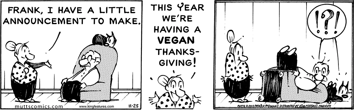 November 25 2013, Daily Comic Strip