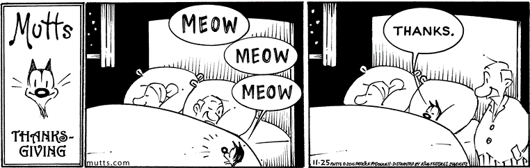 November 25 2016, Daily Comic Strip