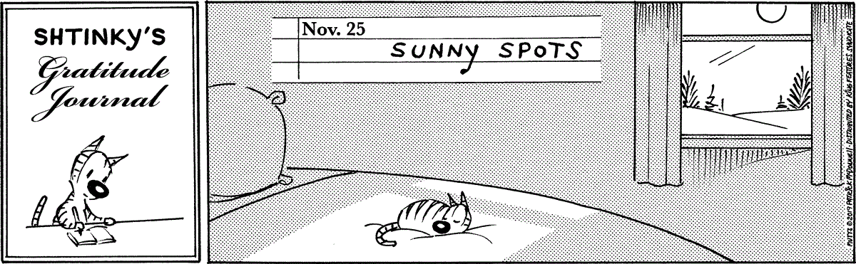 November 25 2019, Daily Comic Strip