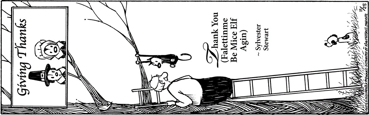 November 25 2020, Daily Comic Strip