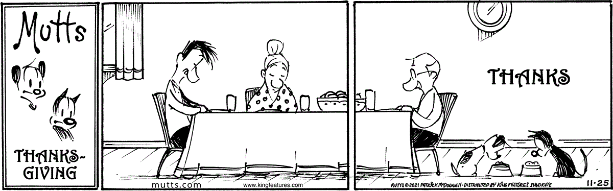 November 25 2021, Daily Comic Strip