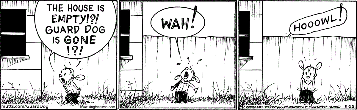 November 25 2023, Daily Comic Strip