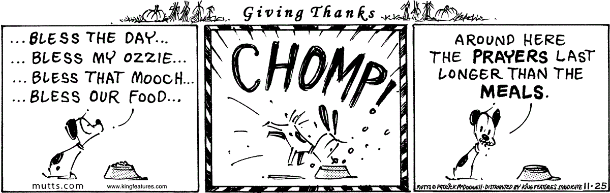 November 25 2024, Daily Comic Strip