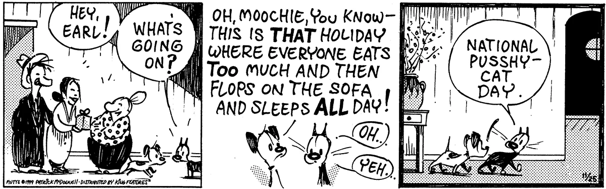 November 25 1999, Daily Comic Strip