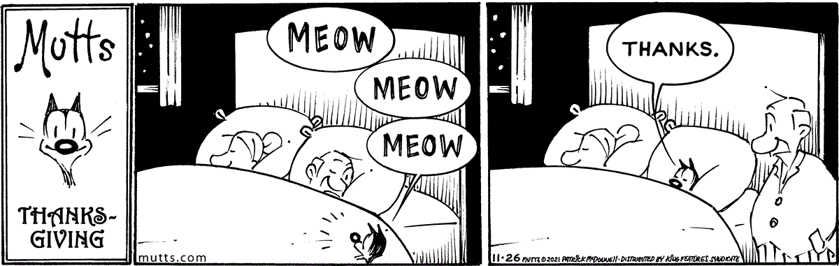 November 26 2021, Daily Comic Strip