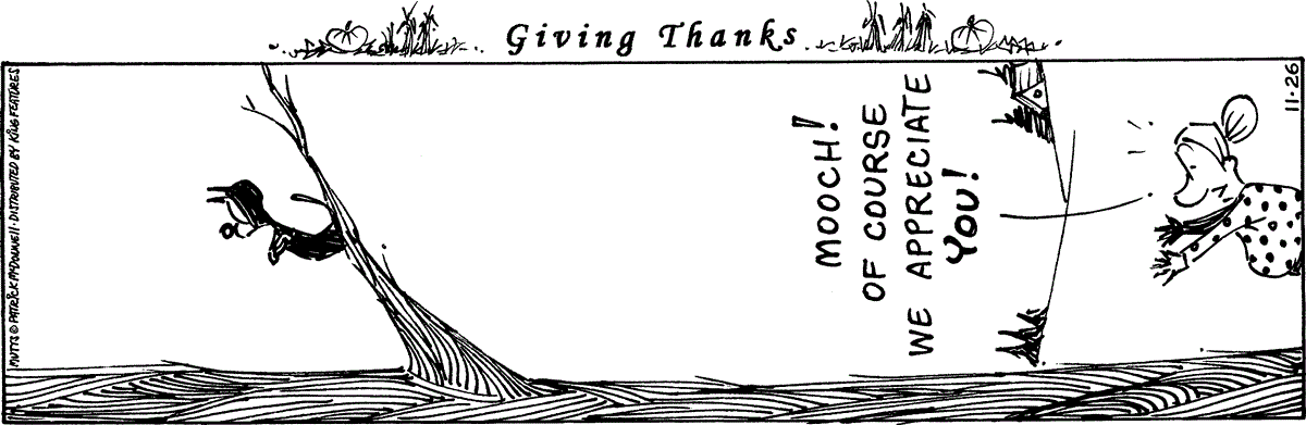 November 26 2024, Daily Comic Strip