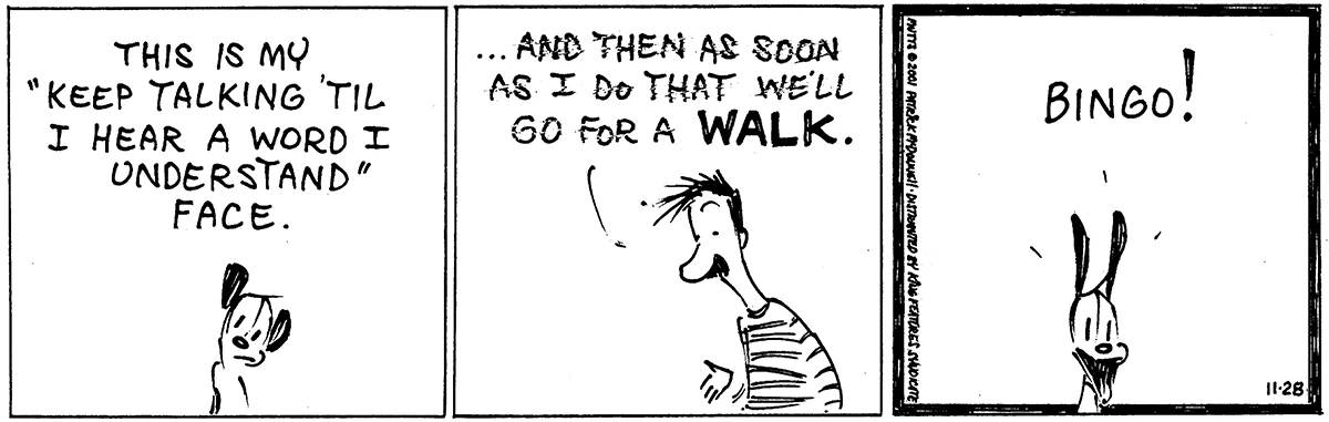 November 28 2001, Daily Comic Strip
