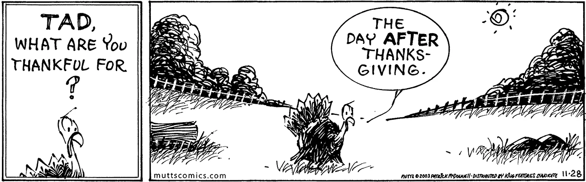 November 28 2003, Daily Comic Strip