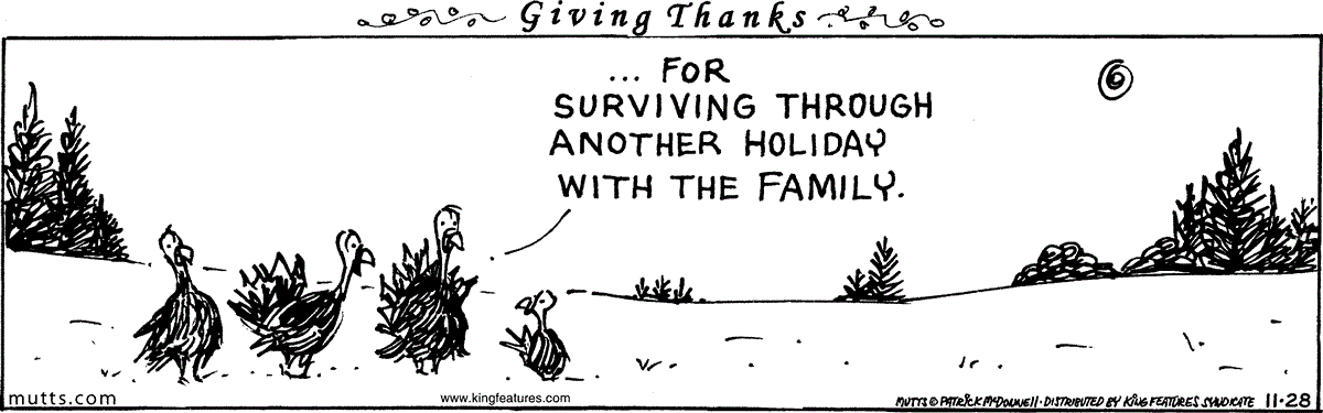 November 28 2025, Daily Comic Strip