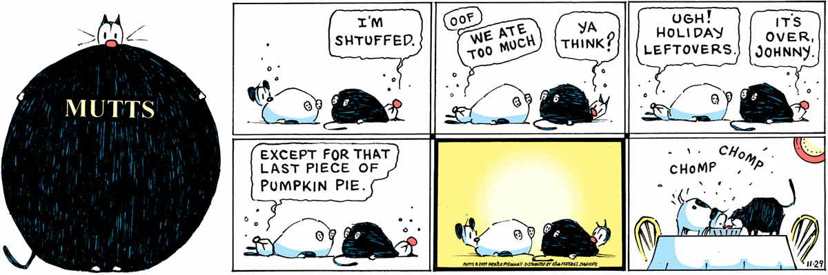 November 29 2009, Sunday Comic Strip