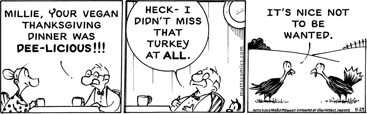 November 29 2013, Daily Comic Strip