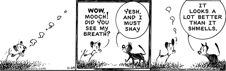 November 29 2016, Daily Comic Strip