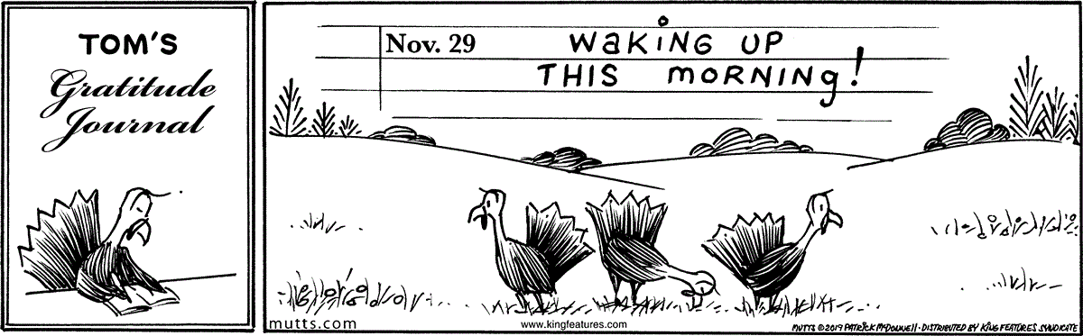 November 29 2019, Daily Comic Strip