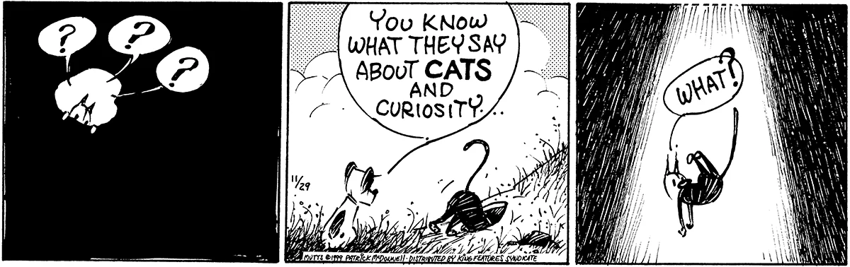 November 29 1999, Daily Comic Strip