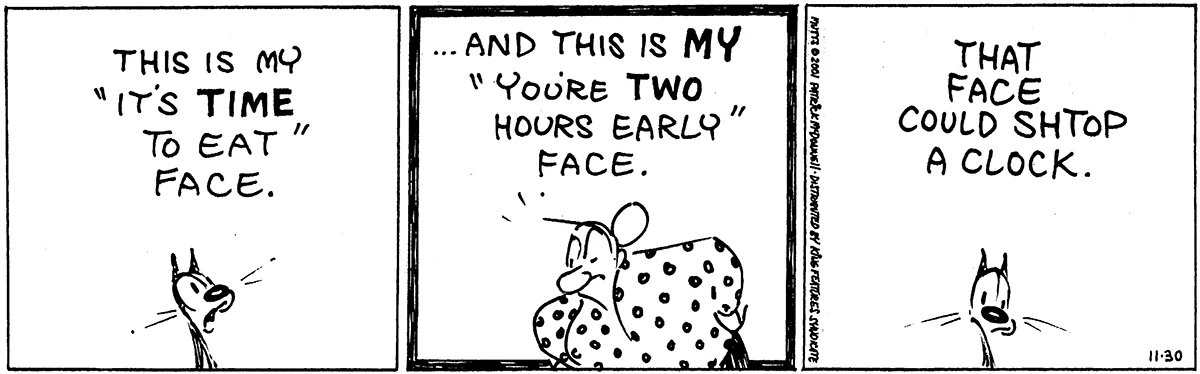 November 30 2001, Daily Comic Strip