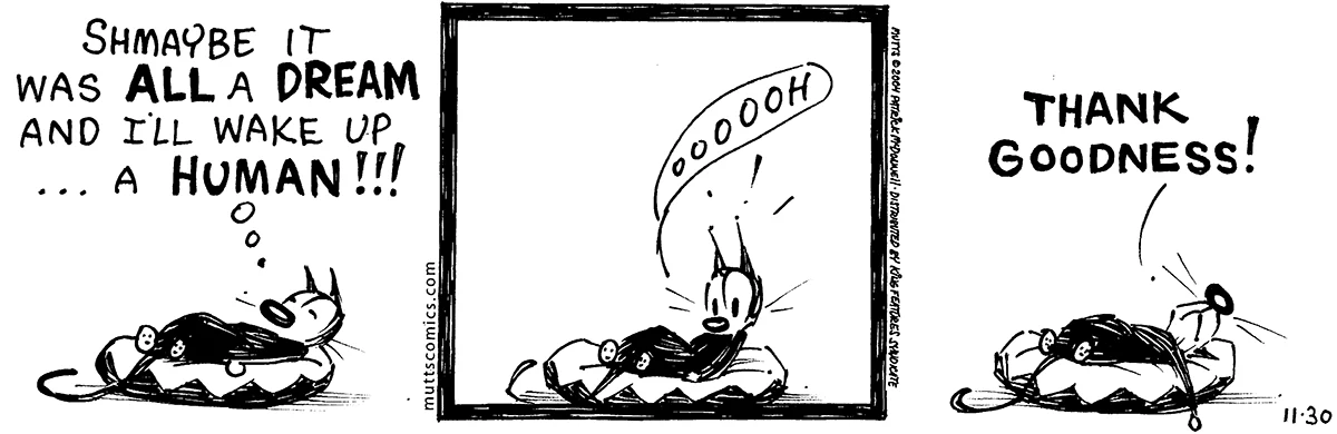November 30 2004, Daily Comic Strip
