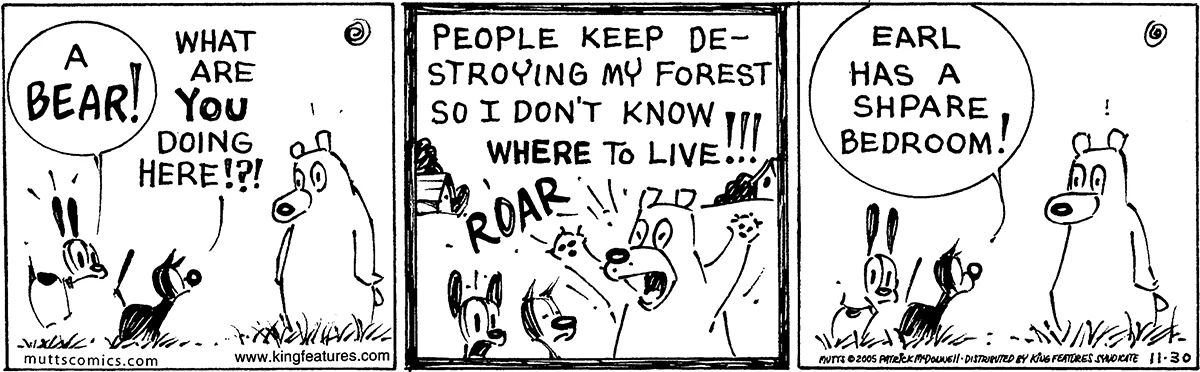 November 30 2005, Daily Comic Strip