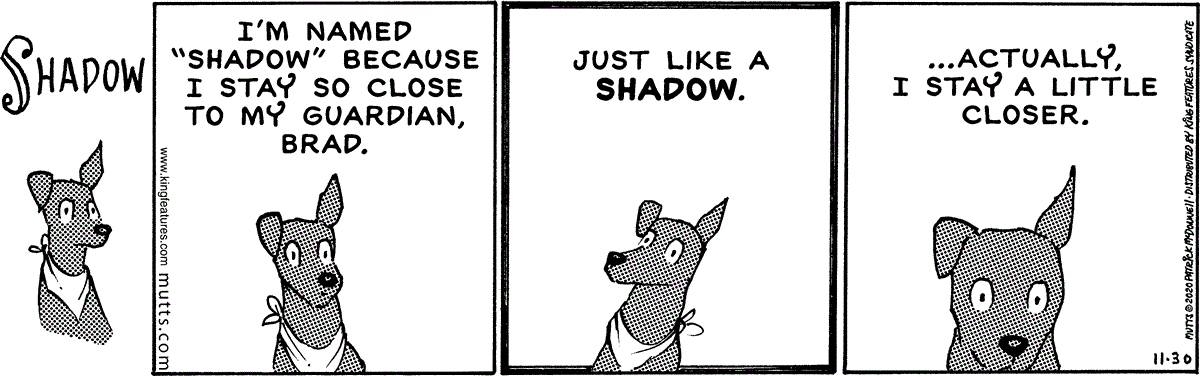 November 30 2020, Daily Comic Strip