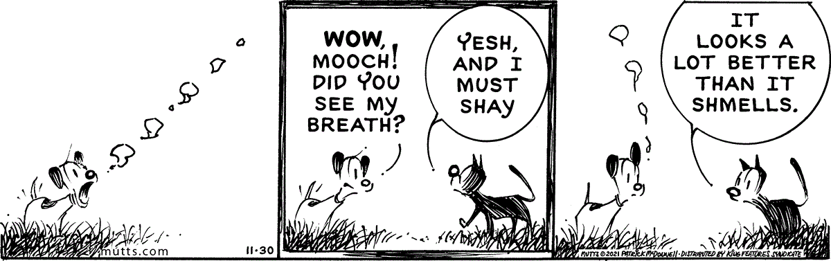 November 30 2021, Daily Comic Strip