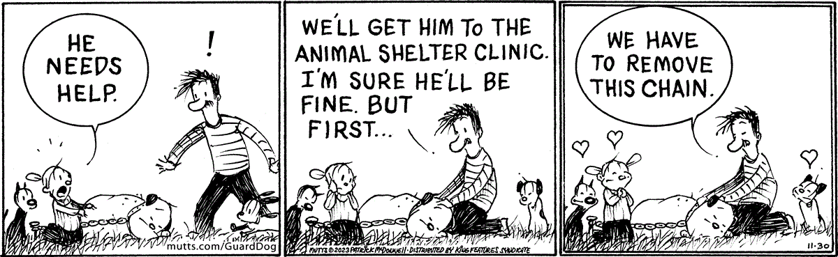 November 30 2023, Daily Comic Strip