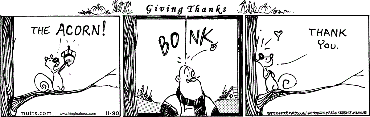 November 30 2024, Daily Comic Strip