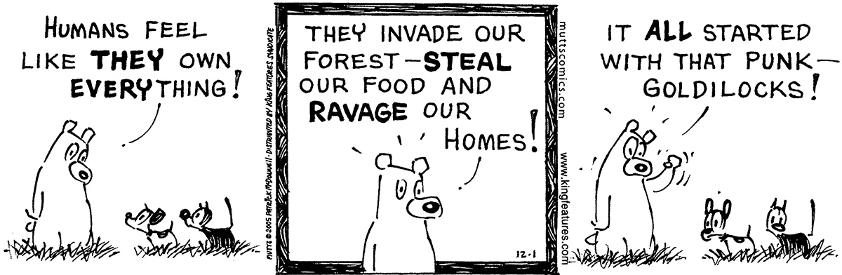 December 1 2005, Daily Comic Strip
