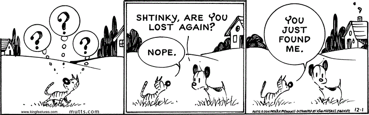 December 1 2016, Daily Comic Strip
