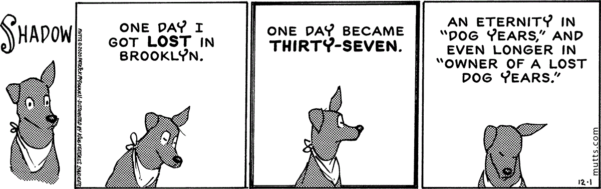December 1 2020, Daily Comic Strip