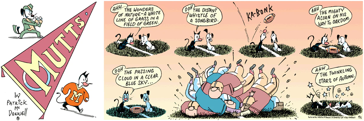 December 1 1996, Sunday Comic Strip