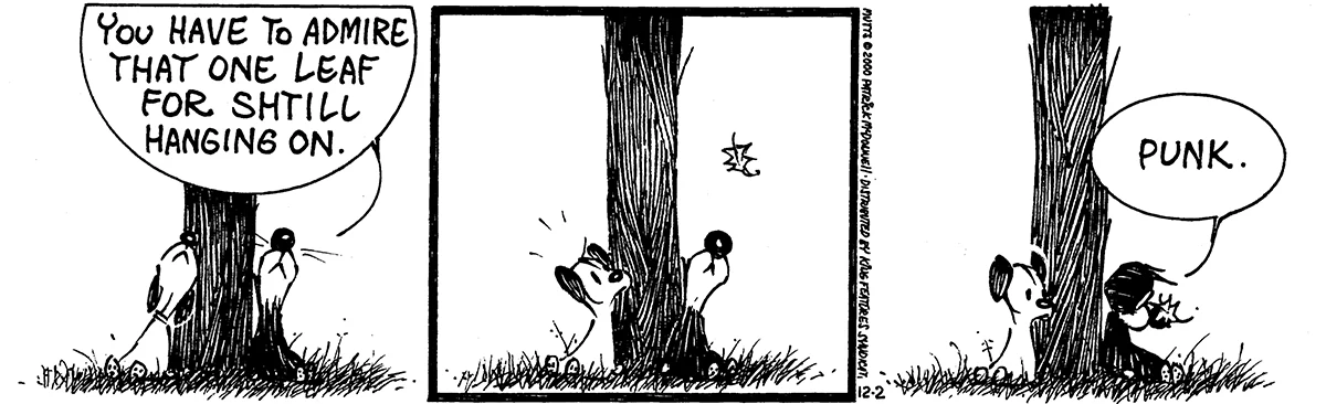 December 2 2000, Daily Comic Strip
